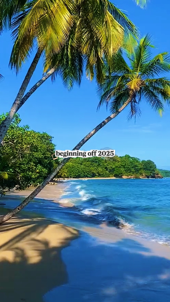 début 2025