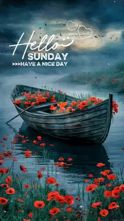 Hello Sunday