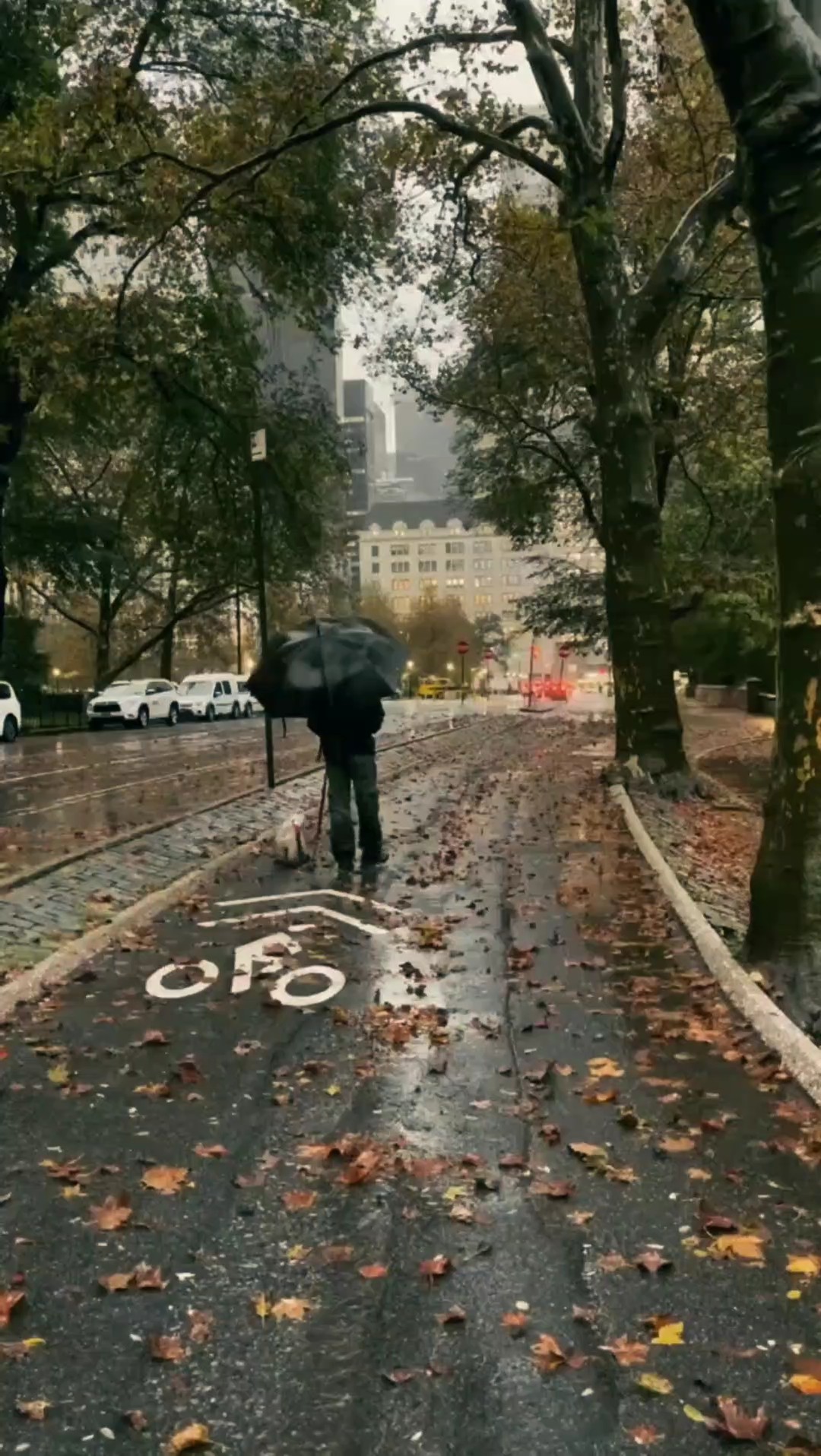Autumn - Aesthetic
