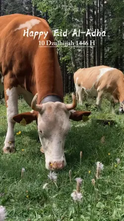 eid al adha 