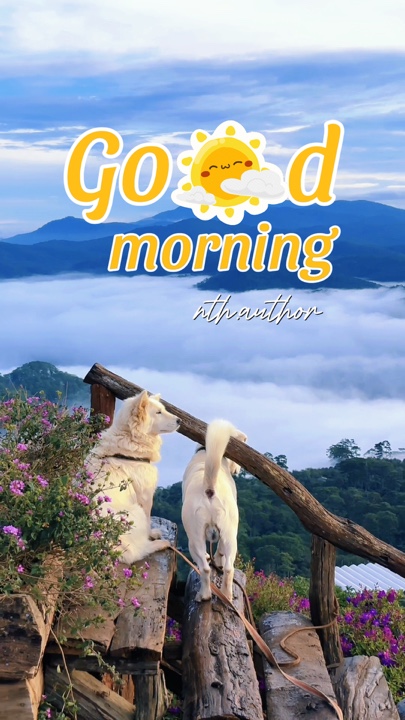 Good morning