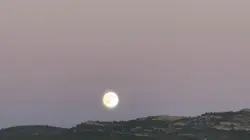 Prcq c’est ps nrml 