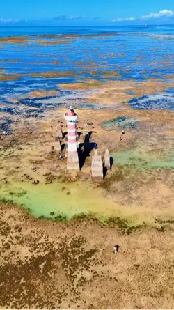 Animação com texto