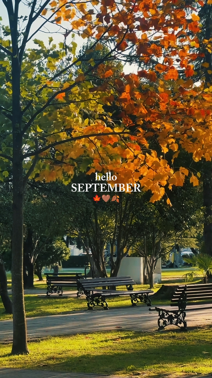 Olá setembro