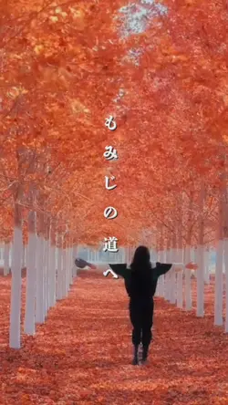 もみじの道へ