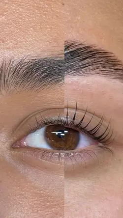 Transition / results