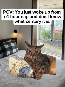 u wokeupfrom4hournap