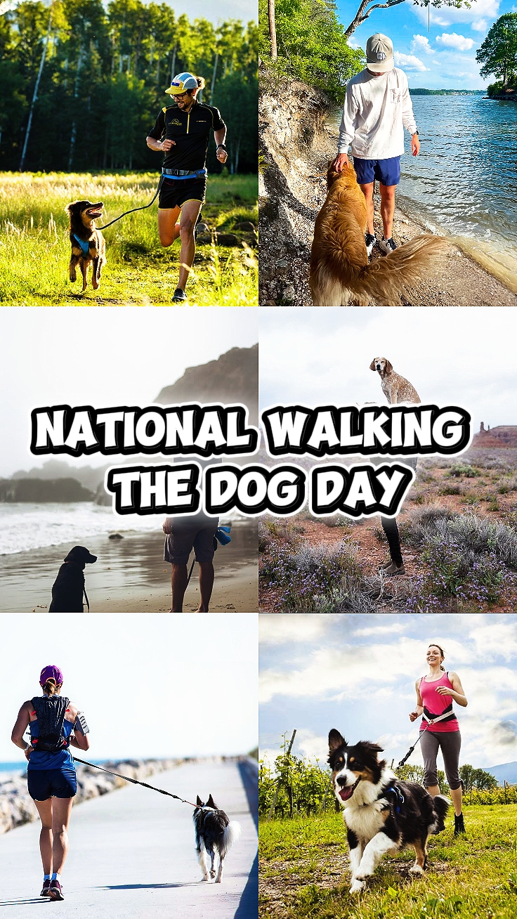 Walking The Dog Day