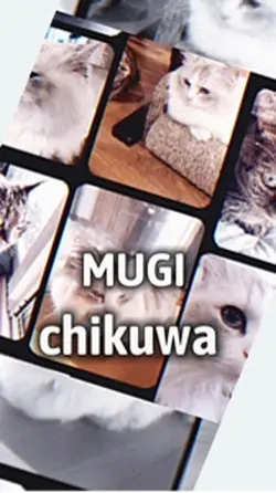 むぎ❤️チクワ