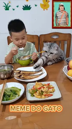 Meme do gatinho