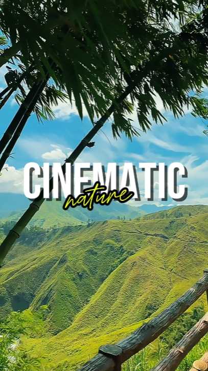 NATURE CINÉMATIQUE