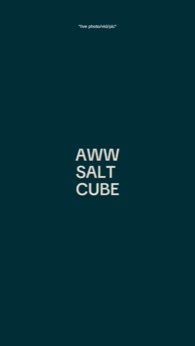 Aww cubo de sal