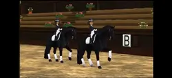 star stable Friesian