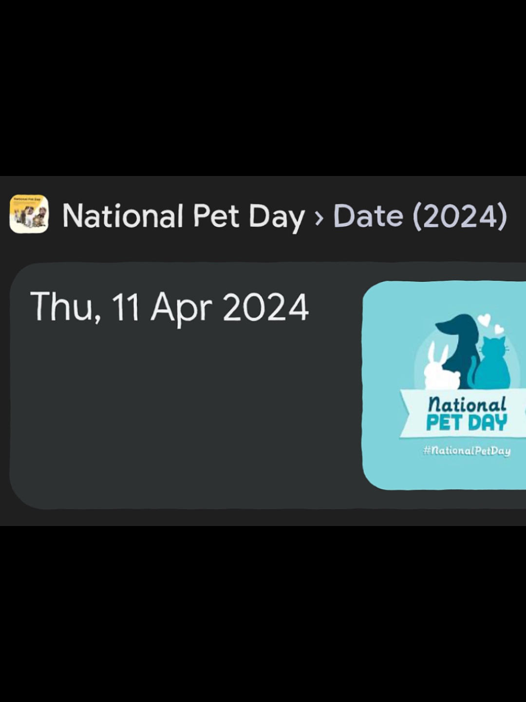 Día de la mascota🐾| | 04 / 11