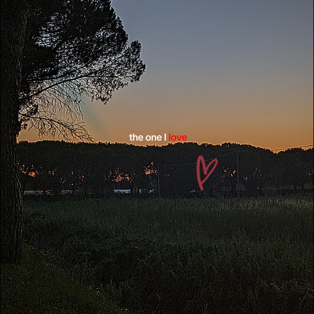 Supongo que estoy enamorado