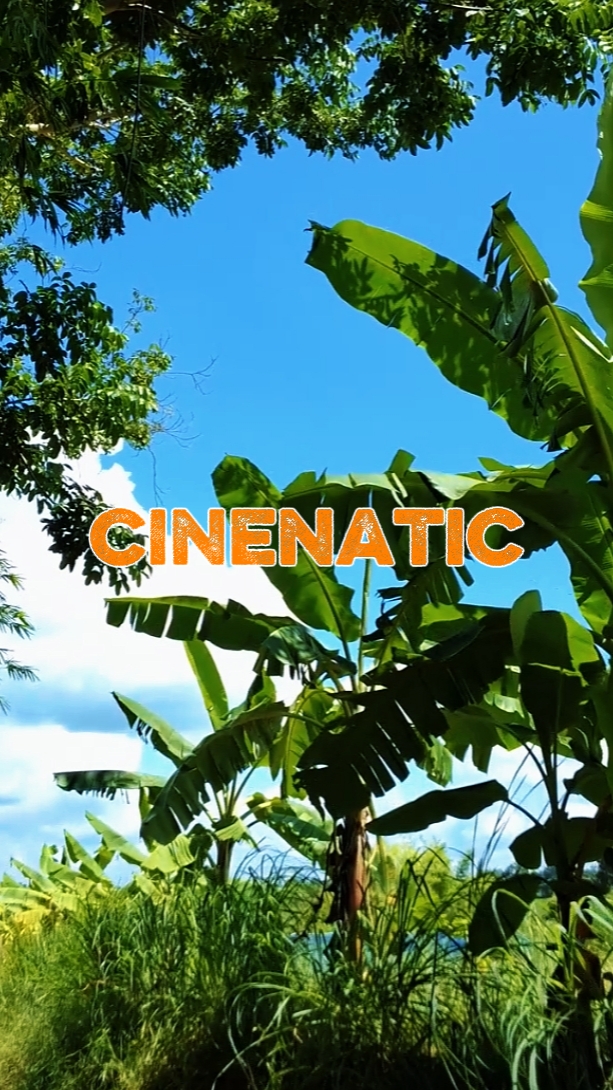 Cinématique Rak