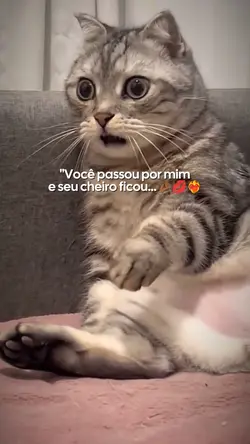 Perfumes delas