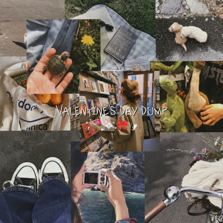 Cover Picture