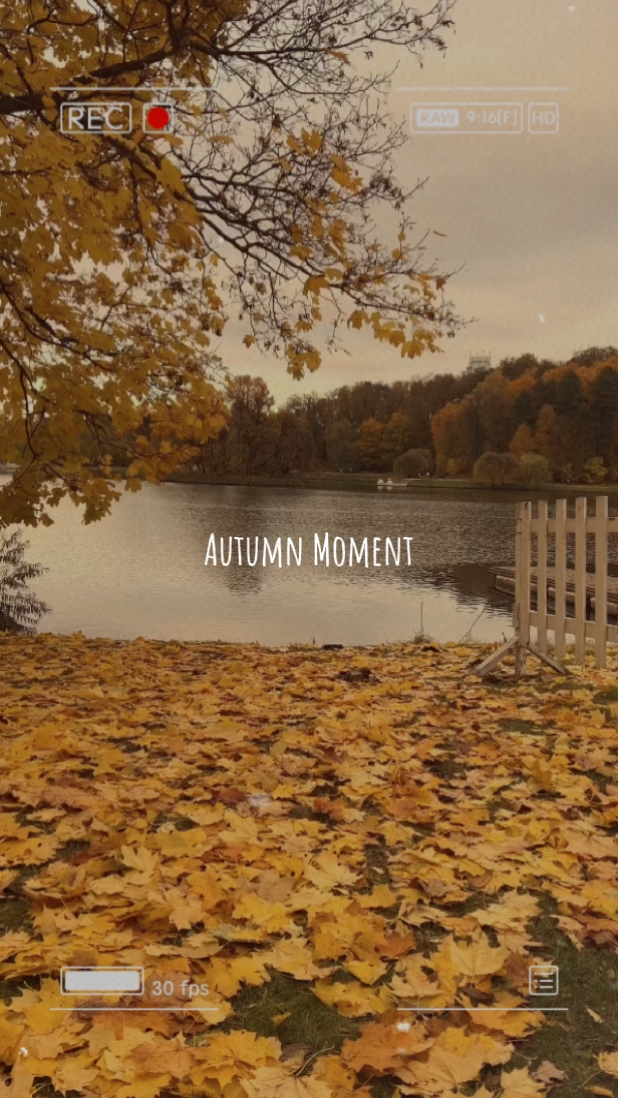 Autum Moment