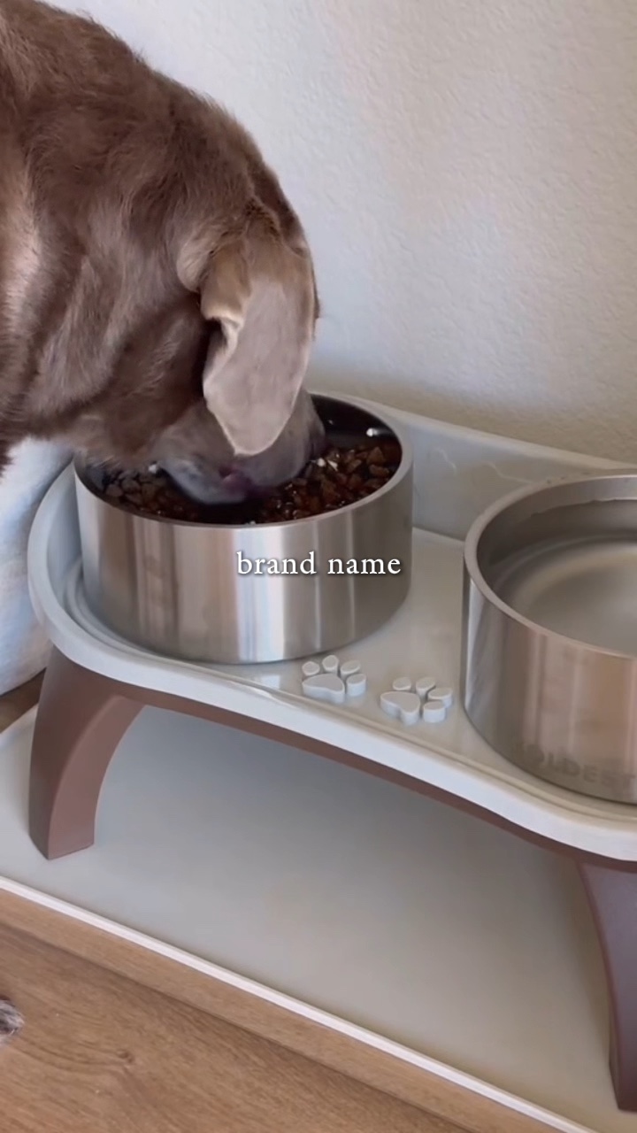 pet supplies