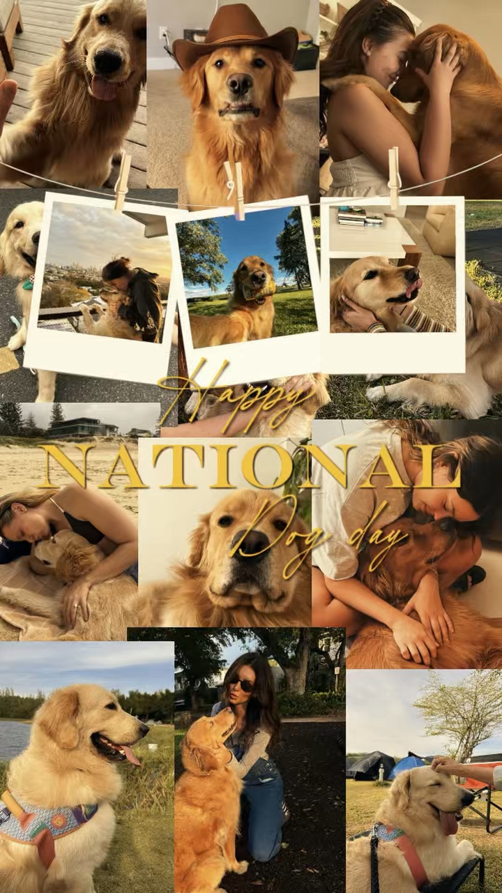 Happy National Dog 