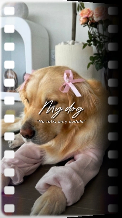 Mi perro