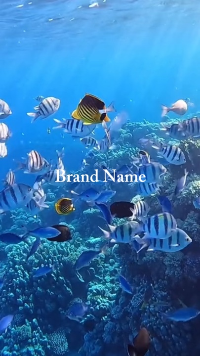 aquarium