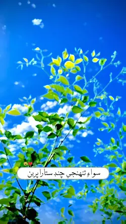 Master Mansoor Song