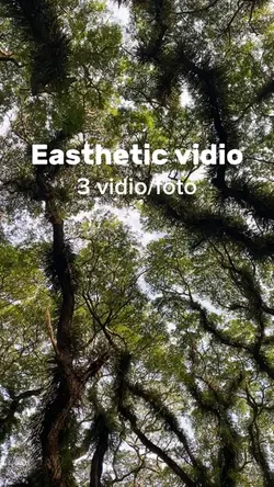 3 vidio easthetic mu