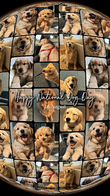 Día Nacional del Perro