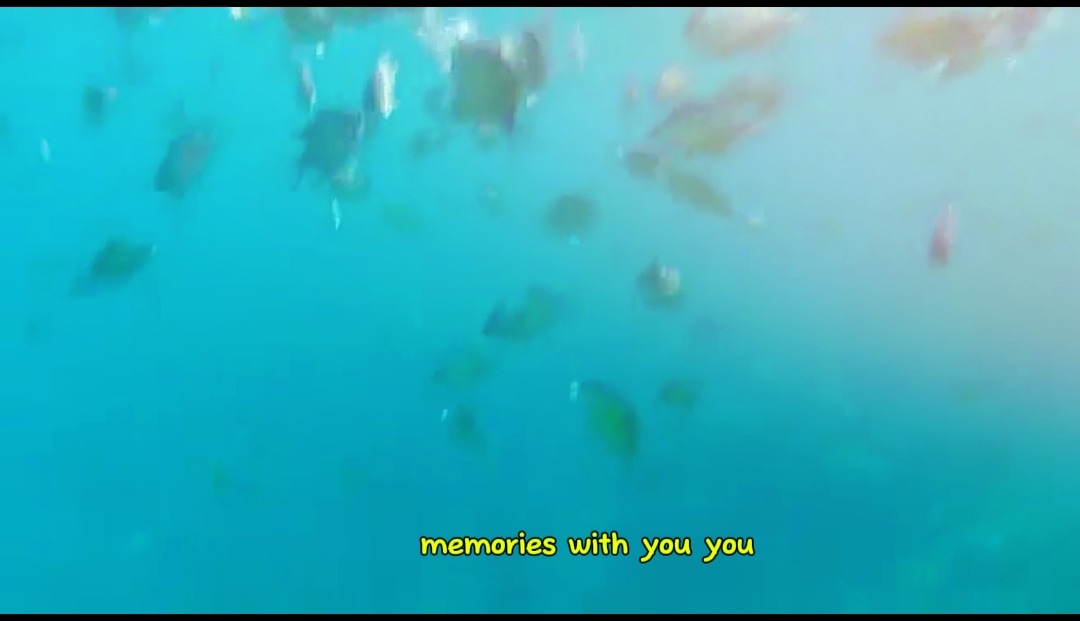 moments to memories 
