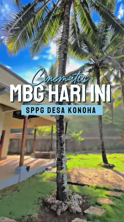 cinematic mbg bgn