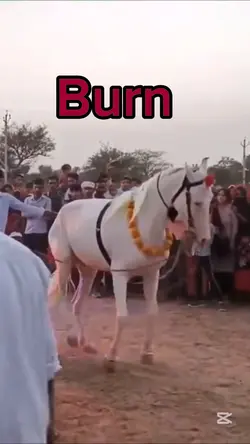 Inspiré de #Chloe_16