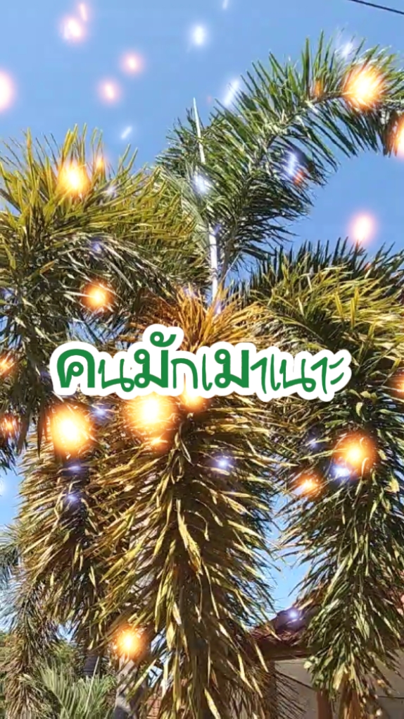 แนวคนมักเมาเนาะ