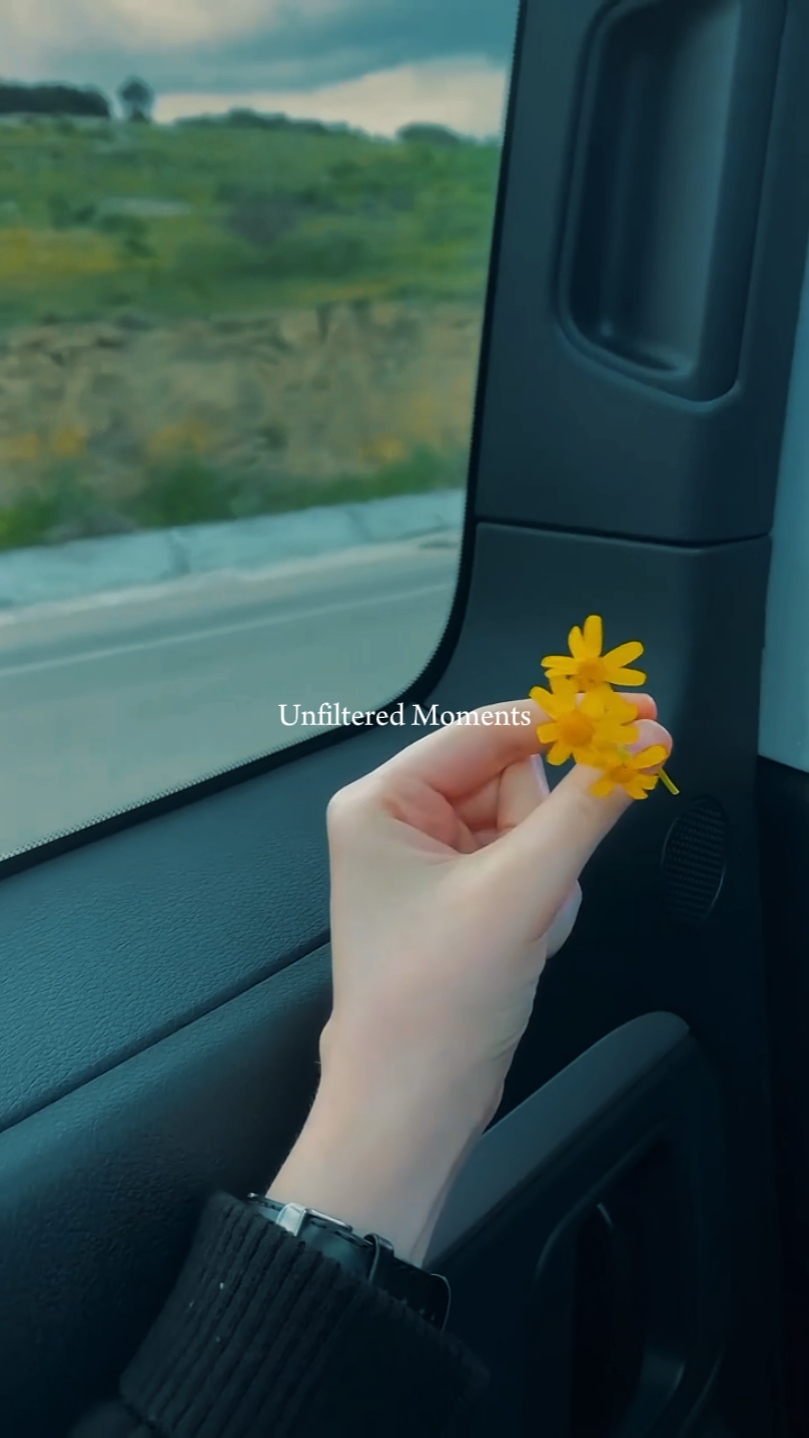 mini vlog