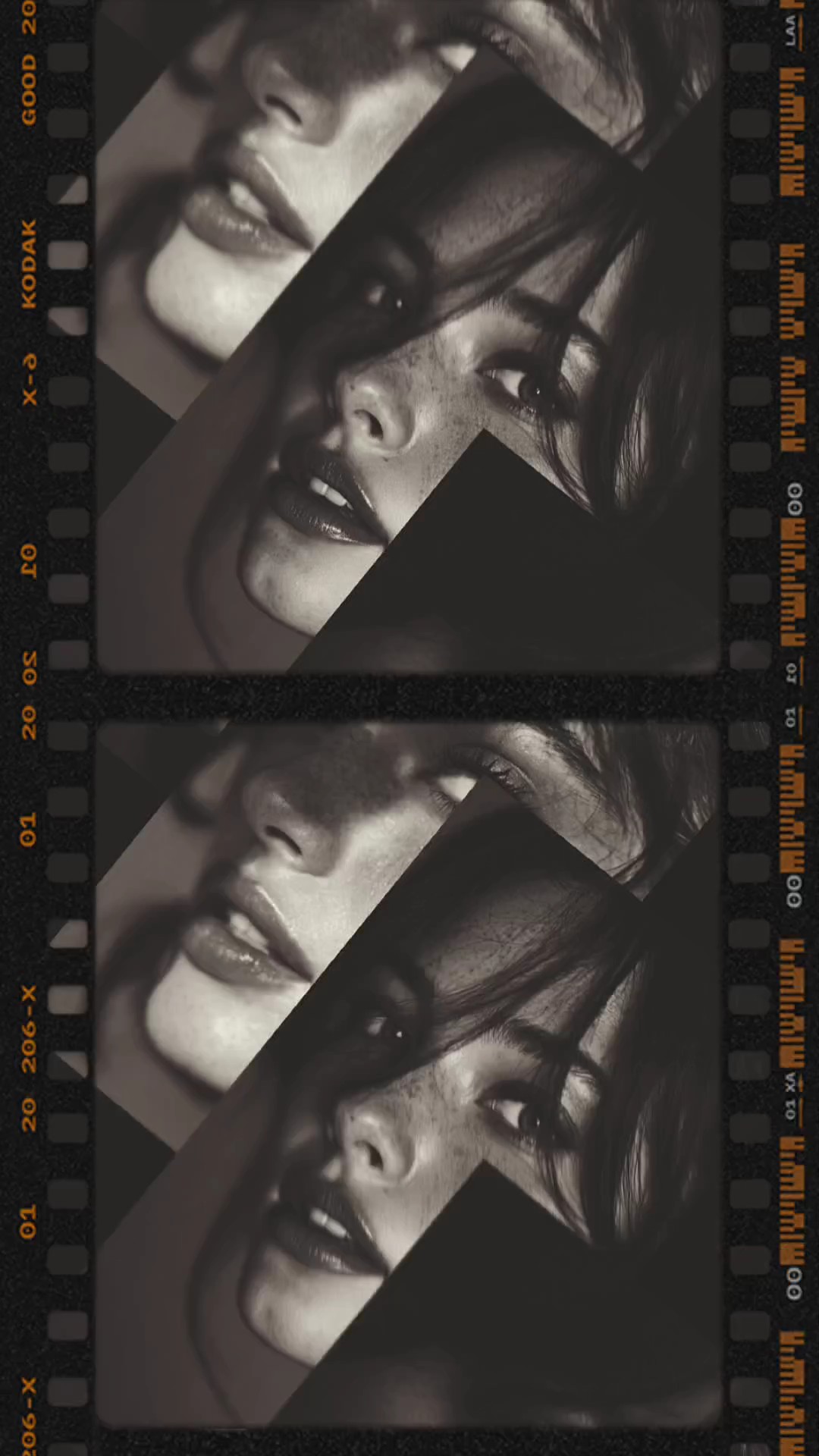 Modelo Vairal