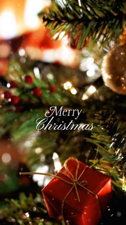 Feliz Navidad