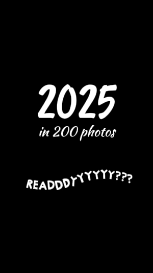 200장의 사진