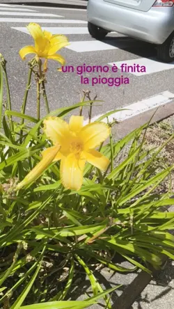 è finita la pioggia