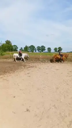 slow motion