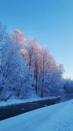 Декабрь 