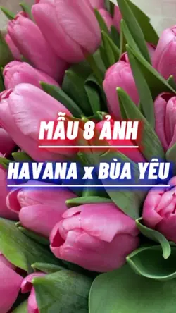 BEAT 8 ẢNH CUỐN