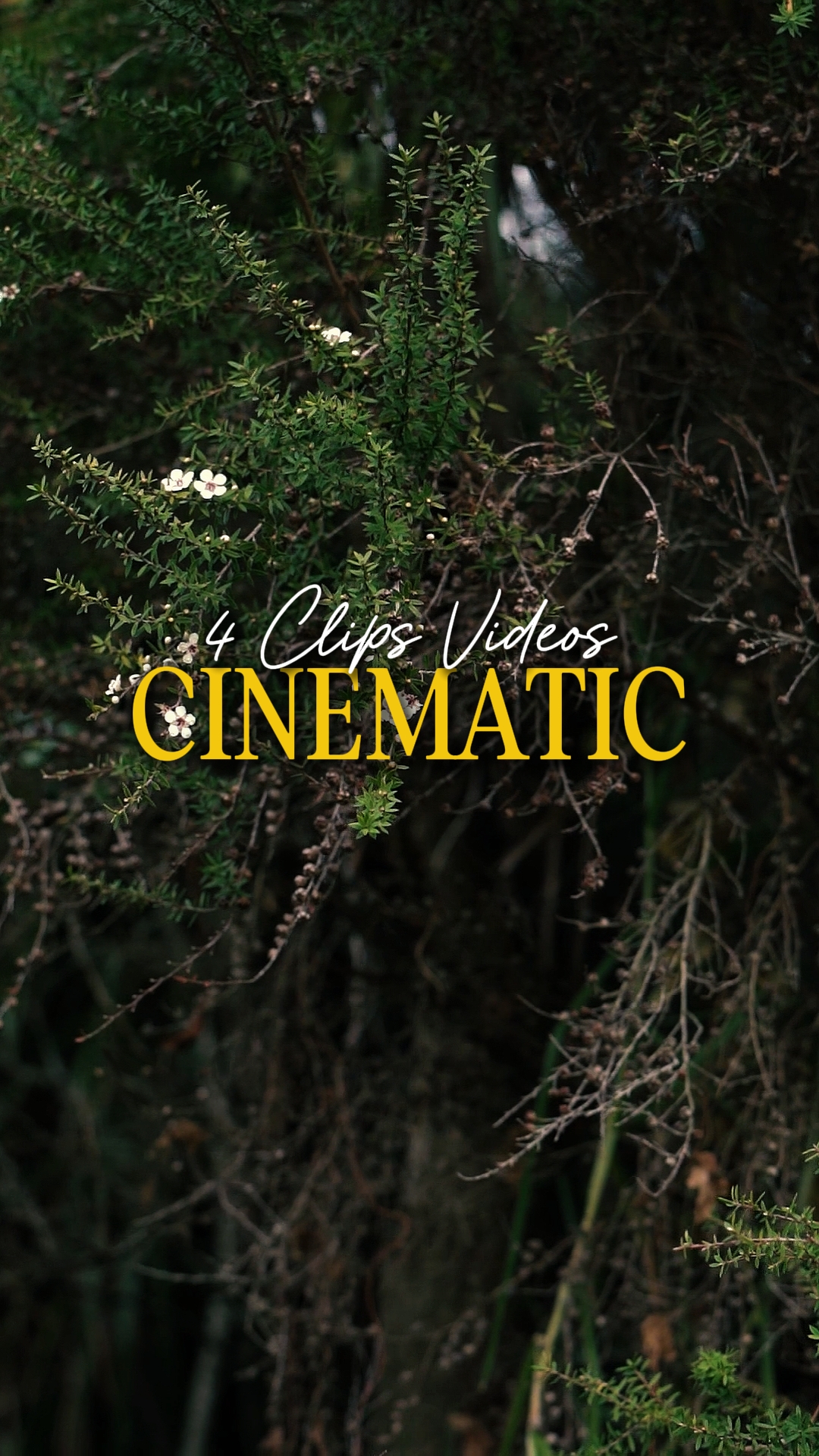 Cinemática 4 Videos