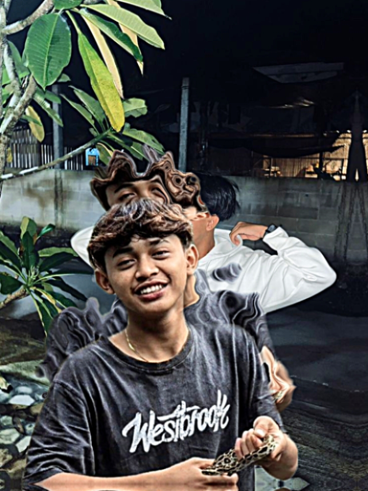 Cover Picture