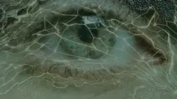 Behind the eyes