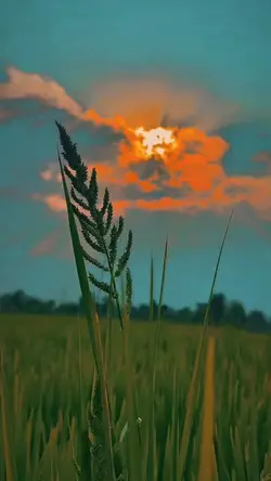 Slowmo 