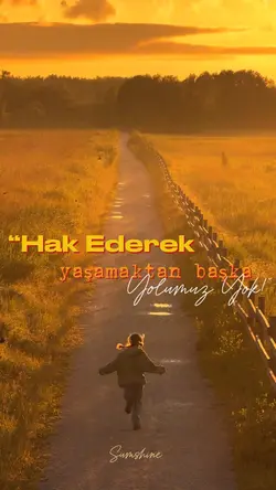 Başka yolumuz yok!”