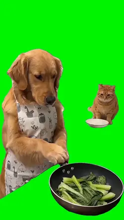 Dog Cooking Meme