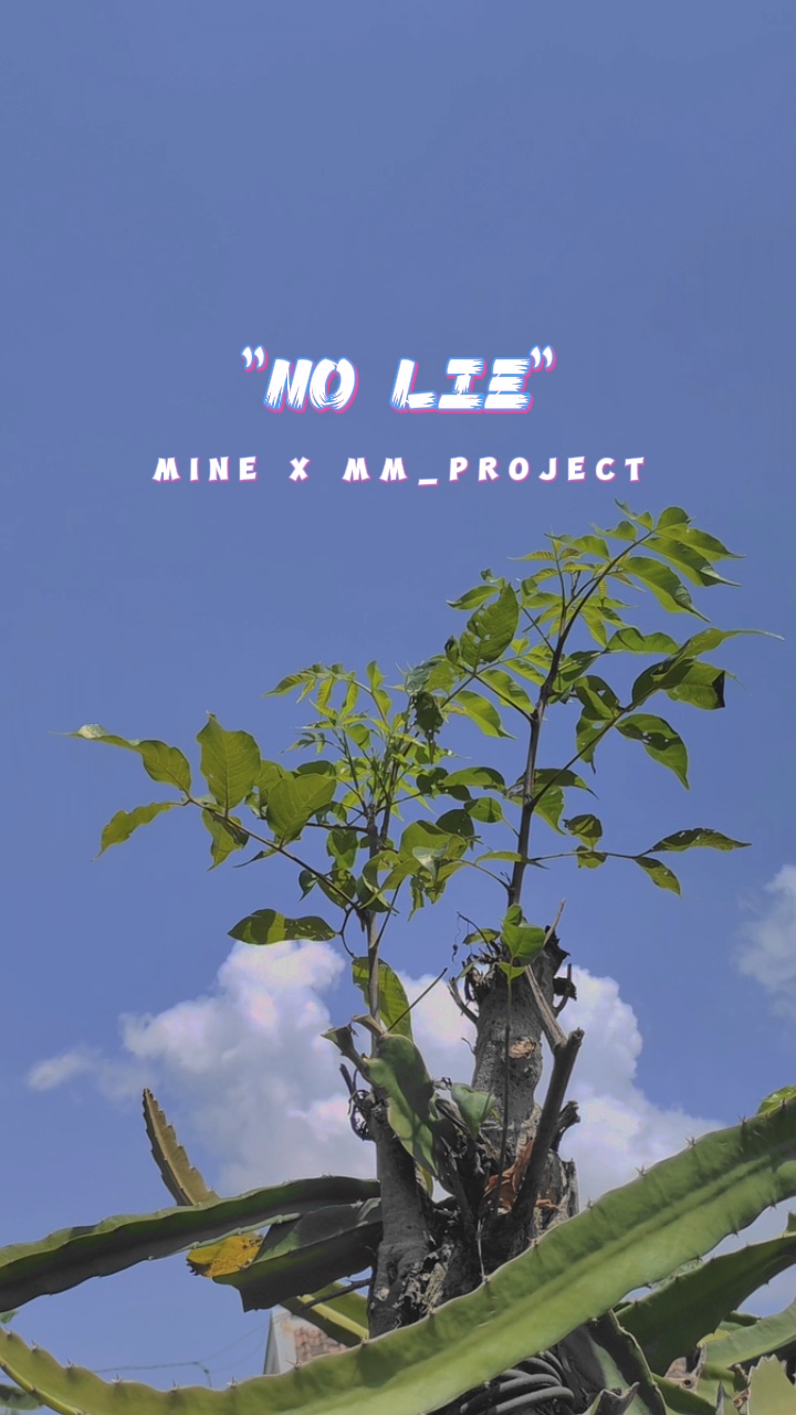 NO LIE CINEMATIC