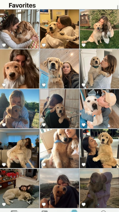 köpeğim 